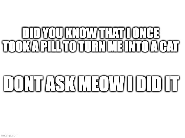 haha | DID YOU KNOW THAT I ONCE TOOK A PILL TO TURN ME INTO A CAT; DONT ASK MEOW I DID IT | image tagged in cats,fun | made w/ Imgflip meme maker