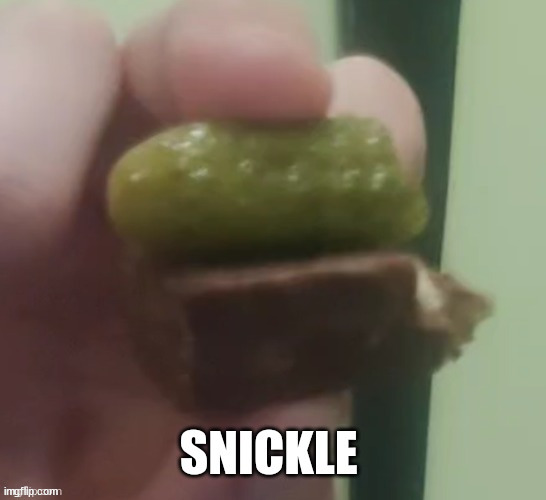 saw this on msmg | made w/ Imgflip meme maker