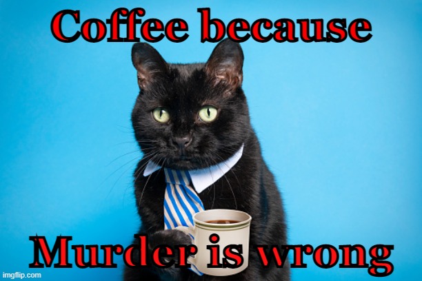 catffeinated | Coffee because; Murder is wrong | image tagged in cats,funny,coffee,caffeine,murder | made w/ Imgflip meme maker