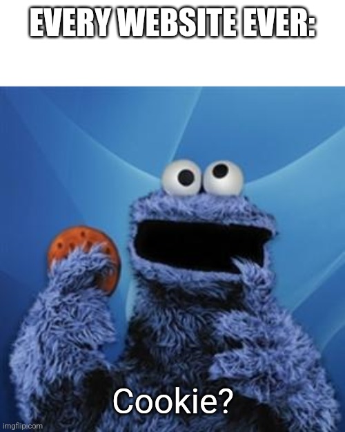 cookie monster | EVERY WEBSITE EVER: Cookie? | image tagged in cookie monster | made w/ Imgflip meme maker