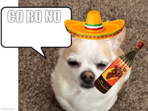 CO RO NO (Spike) |  CO RO NO | image tagged in dog,advertising,advertisement,wine,mexico,demon | made w/ Imgflip meme maker