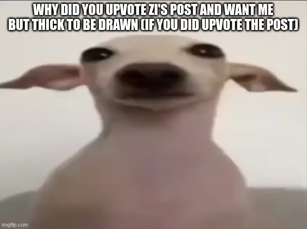 dogbby | WHY DID YOU UPVOTE ZI'S POST AND WANT ME BUT THICK TO BE DRAWN (IF YOU DID UPVOTE THE POST) | image tagged in dogbby | made w/ Imgflip meme maker