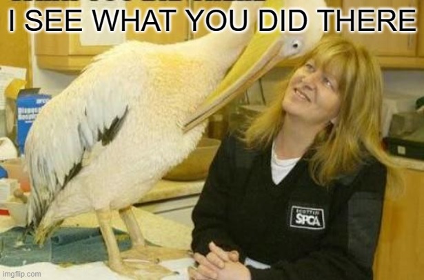 I see what you did there Pelican | I SEE WHAT YOU DID THERE | image tagged in i see what you did there pelican | made w/ Imgflip meme maker