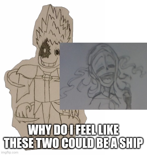They're both deranged, evil, have no regard for others, and very powerful! It's a perfect match! | WHY DO I FEEL LIKE THESE TWO COULD BE A SHIP | image tagged in edgyhead | made w/ Imgflip meme maker