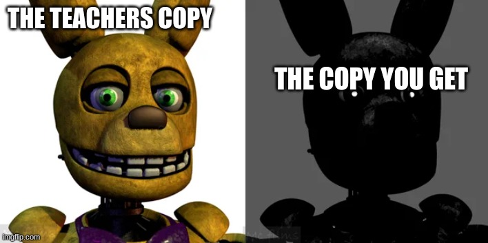 THE TEACHERS COPY; THE COPY YOU GET | made w/ Imgflip meme maker