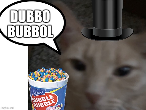 DOBBO BUBBOL (Lucas) | DUBBO BUBBOL | image tagged in cats,cat,advertisement,advertising,gum,gumball | made w/ Imgflip meme maker