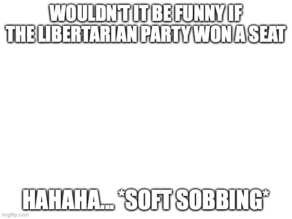 WOULDN'T IT BE FUNNY IF THE LIBERTARIAN PARTY WON A SEAT; HAHAHA... *SOFT SOBBING* | made w/ Imgflip meme maker