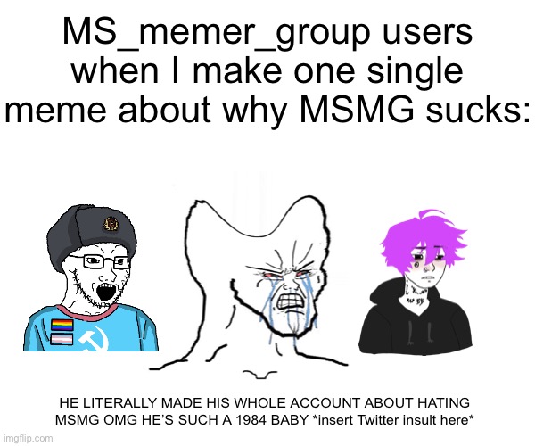 MS_memer_group users when I make one single meme about why MSMG sucks:; HE LITERALLY MADE HIS WHOLE ACCOUNT ABOUT HATING MSMG OMG HE’S SUCH A 1984 BABY *insert Twitter insult here* | image tagged in blank white template,tiny face wojak,memes | made w/ Imgflip meme maker