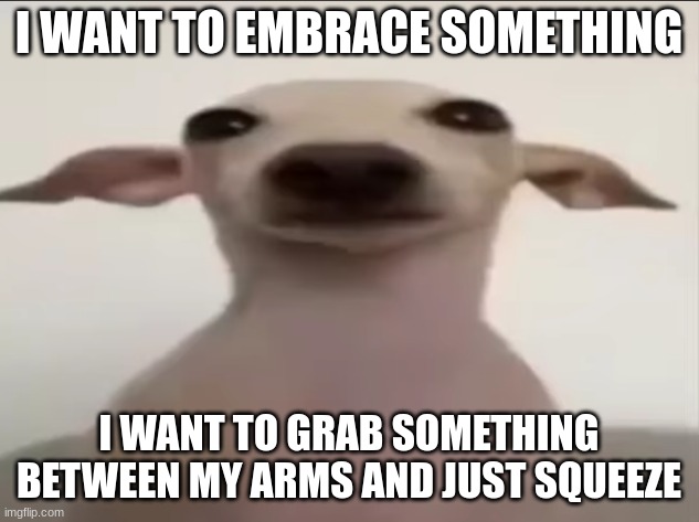 dogbby | I WANT TO EMBRACE SOMETHING; I WANT TO GRAB SOMETHING BETWEEN MY ARMS AND JUST SQUEEZE | image tagged in dogbby | made w/ Imgflip meme maker