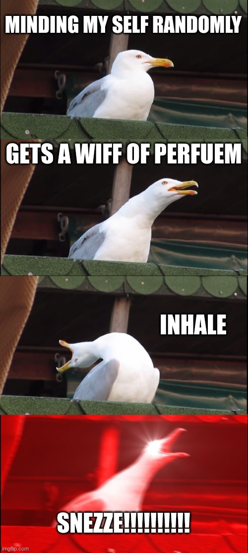 Inhaling Seagull Meme | MINDING MY SELF RANDOMLY; GETS A WIFF OF PERFUEM; INHALE; SNEZZE!!!!!!!!!! | image tagged in memes,inhaling seagull | made w/ Imgflip meme maker