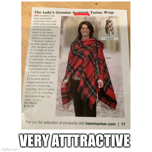 VERY ATTTRACTIVE | made w/ Imgflip meme maker