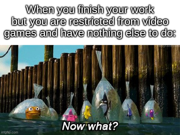 Now What? | When you finish your work but you are restricted from video games and have nothing else to do: | image tagged in now what | made w/ Imgflip meme maker