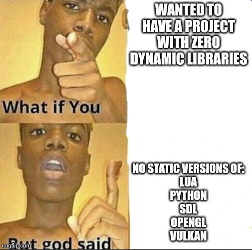 Bruc | WANTED TO HAVE A PROJECT WITH ZERO DYNAMIC LIBRARIES; NO STATIC VERSIONS OF:
LUA
PYTHON
SDL
OPENGL
VULKAN | image tagged in what if you-but god said | made w/ Imgflip meme maker