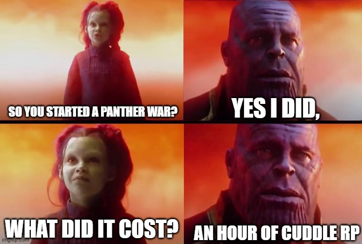 What did it cost? | YES I DID, SO YOU STARTED A PANTHER WAR? AN HOUR OF CUDDLE RP; WHAT DID IT COST? | image tagged in what did it cost | made w/ Imgflip meme maker