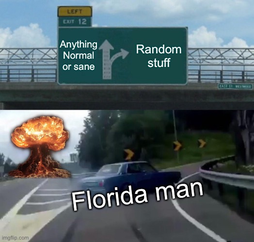 True stuff here | Anything Normal or sane; Random stuff; Florida man | image tagged in memes,left exit 12 off ramp | made w/ Imgflip meme maker