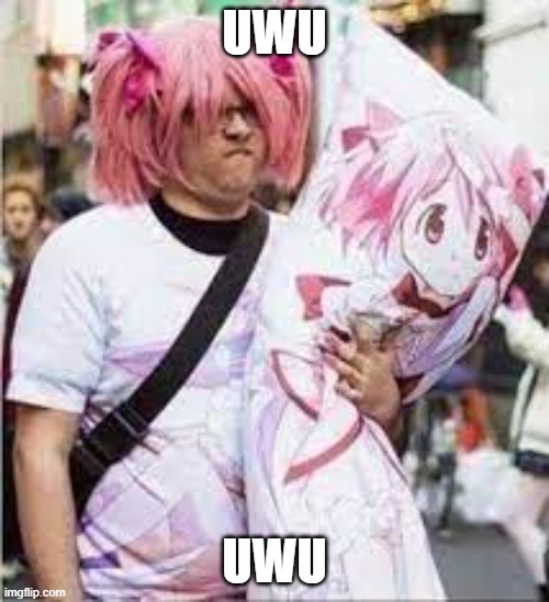 WEEB WEIRDO | UWU; UWU | image tagged in weeb weirdo | made w/ Imgflip meme maker