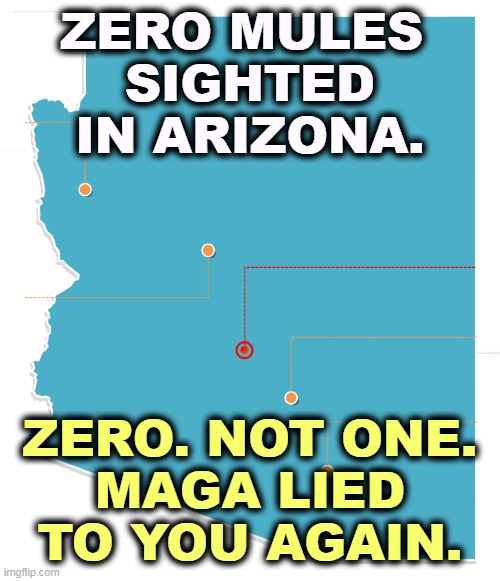 ZERO MULES 
SIGHTED IN ARIZONA. ZERO. NOT ONE.
MAGA LIED TO YOU AGAIN. | image tagged in arizona,mules,fake news,clean,election | made w/ Imgflip meme maker