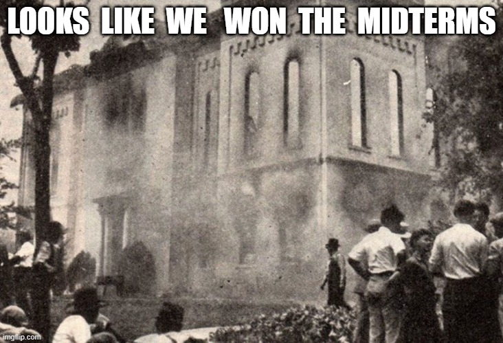 Midterms | LOOKS  LIKE  WE   WON  THE  MIDTERMS | image tagged in midterms | made w/ Imgflip meme maker