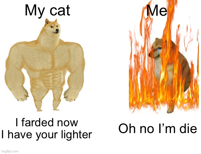 Buff Doge vs. Cheems | My cat; Me; I farded now I have your lighter; Oh no I’m die | image tagged in memes,buff doge vs cheems | made w/ Imgflip meme maker