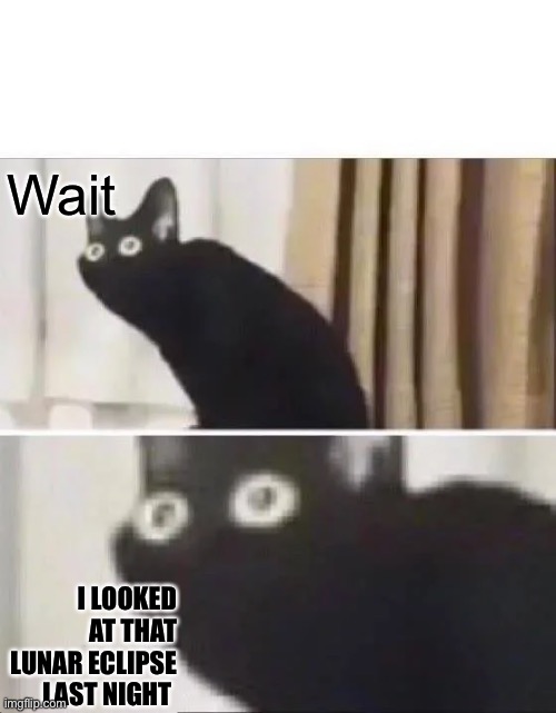 Oh No Black Cat | Wait I LOOKED AT THAT LUNAR ECLIPSE LAST NIGHT | image tagged in oh no black cat | made w/ Imgflip meme maker
