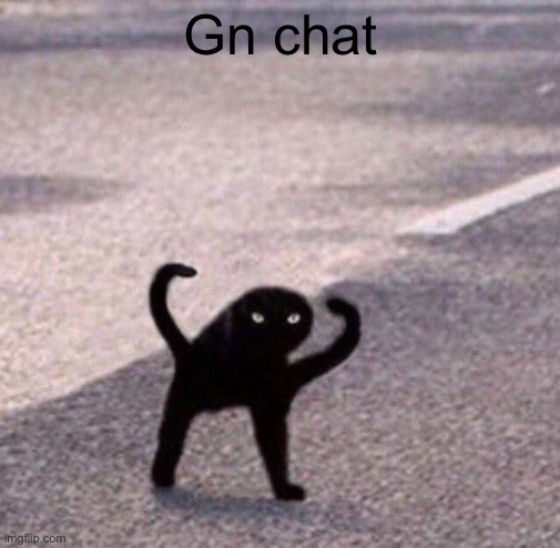 Cursed cat temp | Gn chat | image tagged in cursed cat temp | made w/ Imgflip meme maker