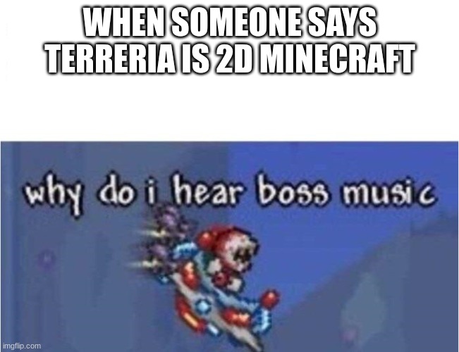 How dare he... | WHEN SOMEONE SAYS TERRERIA IS 2D MINECRAFT | image tagged in why do i hear boss music | made w/ Imgflip meme maker
