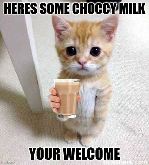 Cute Cat Meme | HERES SOME CHOCCY MILK; YOUR WELCOME | image tagged in memes,cute cat | made w/ Imgflip meme maker