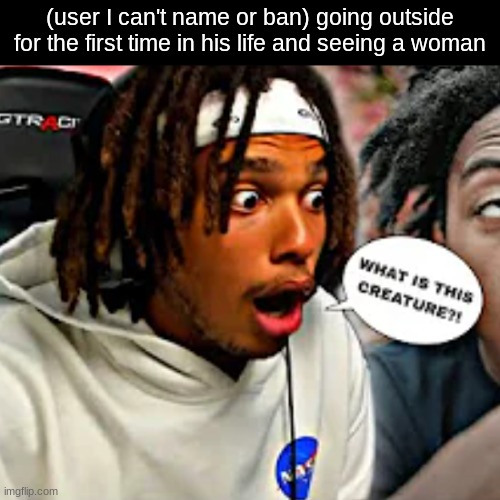 WHAT IS THIS CREATURE?! | (user I can't name or ban) going outside for the first time in his life and seeing a woman | image tagged in what is this creature | made w/ Imgflip meme maker