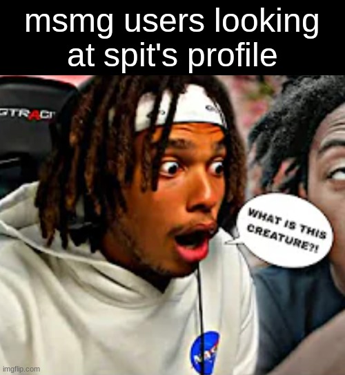this one valid tho | msmg users looking at spit's profile | image tagged in what is this creature | made w/ Imgflip meme maker