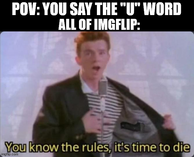 I didn't say it | POV: YOU SAY THE "U" WORD; ALL OF IMGFLIP: | image tagged in you know the rules it's time to die | made w/ Imgflip meme maker