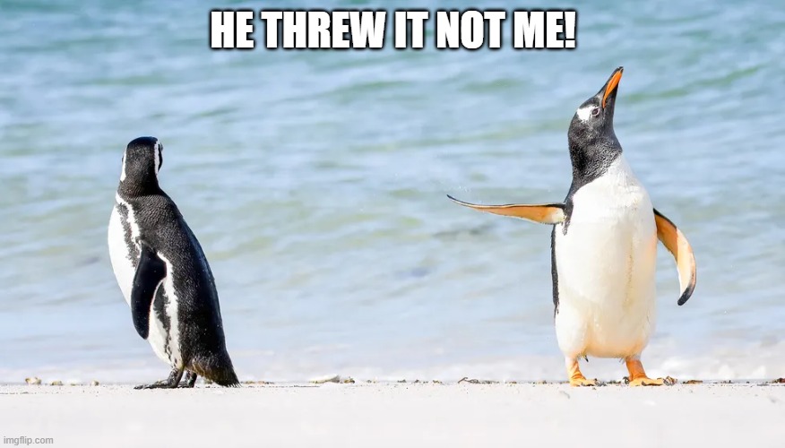 HE THREW IT NOT ME! | made w/ Imgflip meme maker