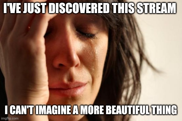 First World Problems | I'VE JUST DISCOVERED THIS STREAM; I CAN'T IMAGINE A MORE BEAUTIFUL THING | image tagged in memes,first world problems | made w/ Imgflip meme maker