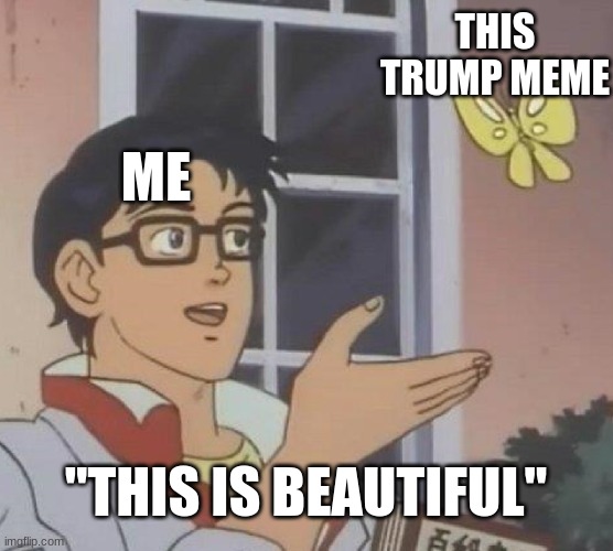 ME THIS TRUMP MEME "THIS IS BEAUTIFUL" | image tagged in memes,is this a pigeon | made w/ Imgflip meme maker