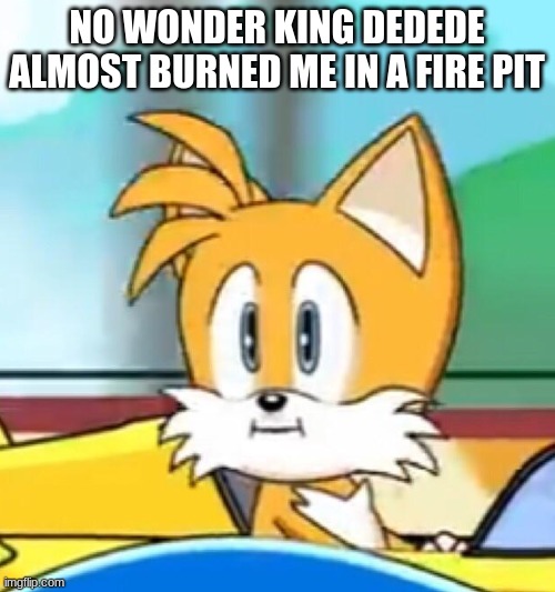 Tails hold up | NO WONDER KING DEDEDE ALMOST BURNED ME IN A FIRE PIT | image tagged in tails hold up | made w/ Imgflip meme maker