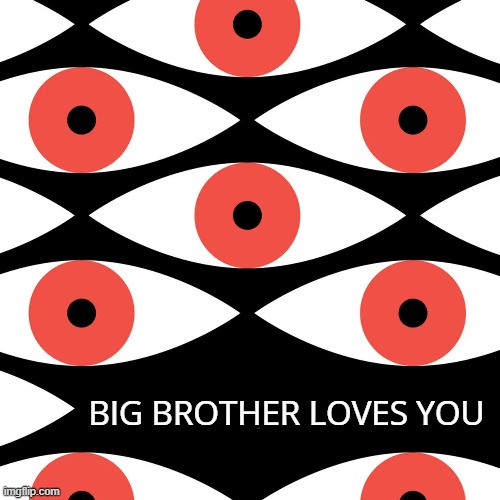 UwU | BIG BROTHER LOVES YOU | image tagged in rmk,big brother | made w/ Imgflip meme maker