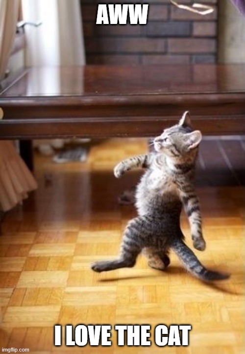 Cool Cat Stroll Meme | AWW; I LOVE THE CAT | image tagged in memes,cool cat stroll | made w/ Imgflip meme maker