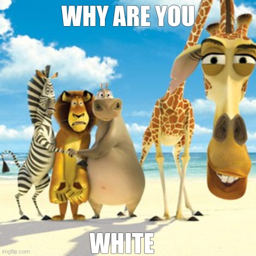 why are you white | WHY ARE YOU WHITE | image tagged in why are you white | made w/ Imgflip meme maker