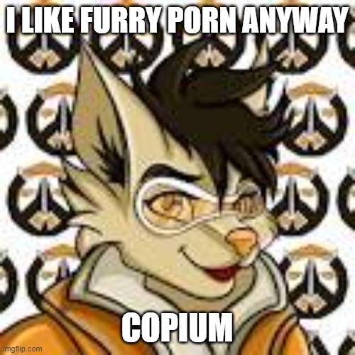 I LIKE FURRY PORN ANYWAY COPIUM | made w/ Imgflip meme maker