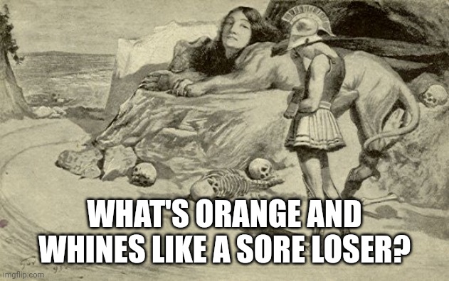 You guessed it | WHAT'S ORANGE AND WHINES LIKE A SORE LOSER? | image tagged in riddles and brainteasers | made w/ Imgflip meme maker