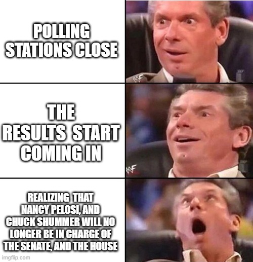 Vince McMahon | POLLING STATIONS CLOSE; THE RESULTS  START COMING IN; REALIZING  THAT NANCY PELOSI, AND CHUCK SHUMMER WILL NO LONGER BE IN CHARGE OF THE SENATE, AND THE HOUSE | image tagged in vince mcmahon | made w/ Imgflip meme maker