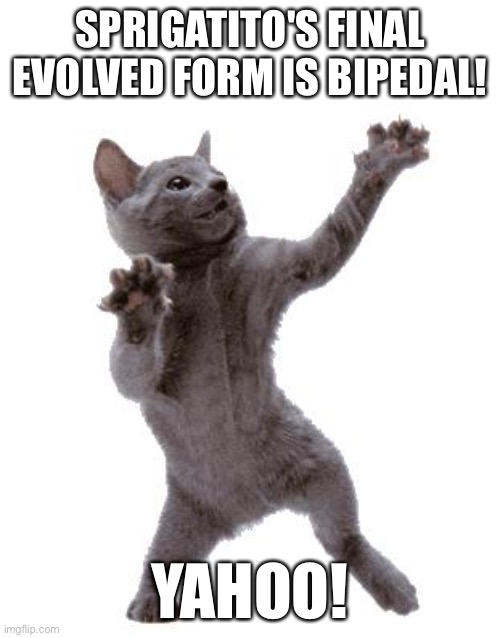 Happy Dance Cat | SPRIGATITO'S FINAL EVOLVED FORM IS BIPEDAL! YAHOO! | image tagged in happy dance cat | made w/ Imgflip meme maker
