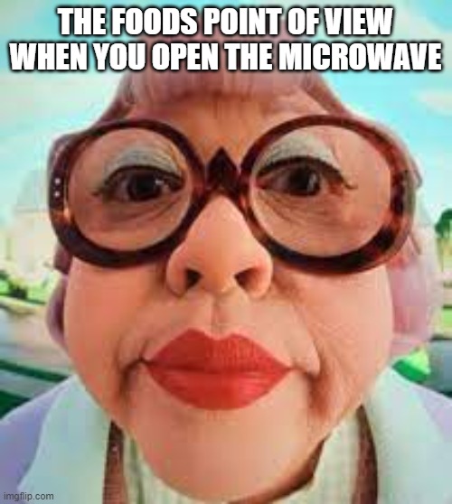 The microwave | THE FOODS POINT OF VIEW WHEN YOU OPEN THE MICROWAVE | image tagged in so unfunny | made w/ Imgflip meme maker