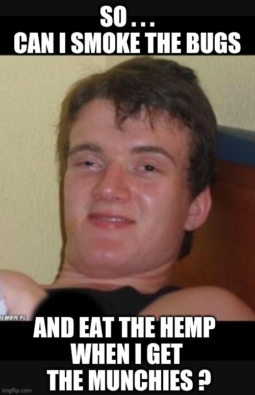 SO . . .
CAN I SMOKE THE BUGS AND EAT THE HEMP 
WHEN I GET
 THE MUNCHIES ? | made w/ Imgflip meme maker