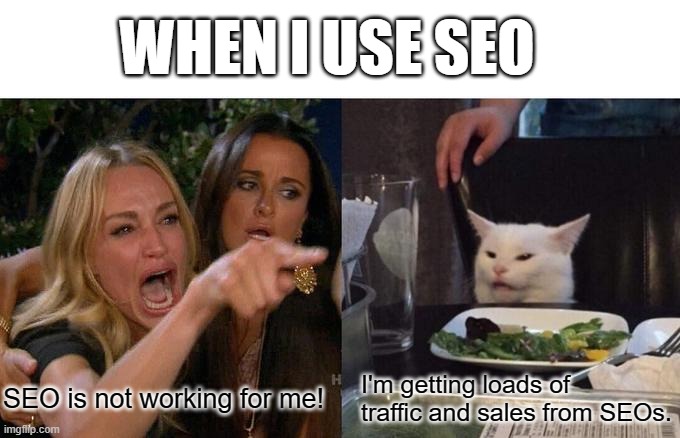 Woman Yelling At Cat Meme | WHEN I USE SEO; SEO is not working for me! I'm getting loads of traffic and sales from SEOs. | image tagged in memes,woman yelling at cat | made w/ Imgflip meme maker