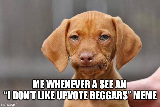 C’mon guys, be original | ME WHENEVER A SEE AN 
“I DON’T LIKE UPVOTE BEGGARS” MEME | image tagged in dissapointed puppy | made w/ Imgflip meme maker