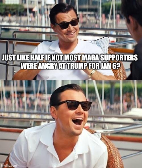 Leonardo Dicaprio Wolf Of Wall Street Meme | JUST LIKE HALF IF NOT MOST MAGA SUPPORTERS 
WERE ANGRY AT TRUMP FOR JAN 6? | image tagged in memes,leonardo dicaprio wolf of wall street | made w/ Imgflip meme maker