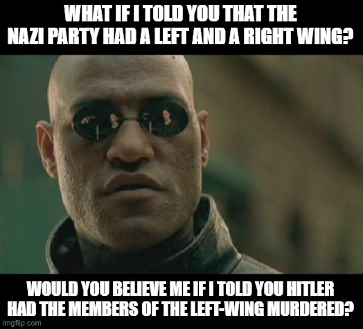 Matrix Morpheus Meme | WHAT IF I TOLD YOU THAT THE NAZI PARTY HAD A LEFT AND A RIGHT WING? WOULD YOU BELIEVE ME IF I TOLD YOU HITLER HAD THE MEMBERS OF THE LEFT-WING MURDERED? | image tagged in memes,matrix morpheus,nacht der langen messer,rohm purge,operation hummingbird | made w/ Imgflip meme maker