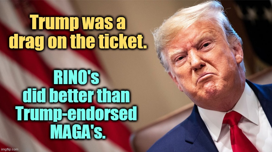 Trump will now pick a fight with Kevin McCarthy and blame the Red Wavelessness on him. | Trump was a drag on the ticket. RINO's 
did better than 
Trump-endorsed 
MAGA's. | image tagged in trump,drag,loser | made w/ Imgflip meme maker