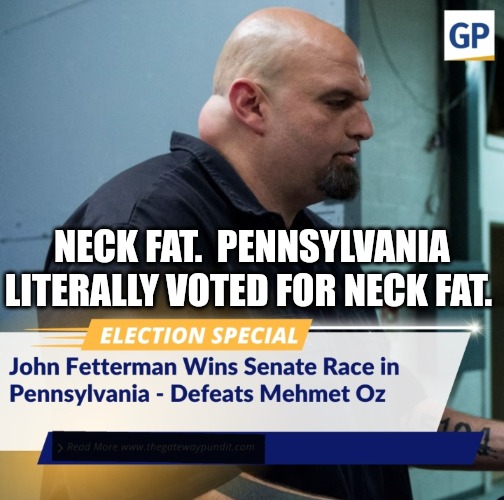 You don't have to be brain damaged to be a politician, but it helps. | NECK FAT.  PENNSYLVANIA LITERALLY VOTED FOR NECK FAT. | image tagged in memes,politics,pennsylvania,democrats,republicans,senate | made w/ Imgflip meme maker