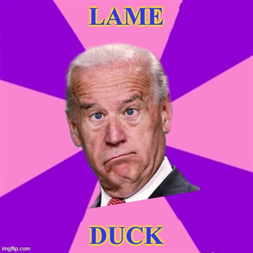 LAME DUCK | LAME; DUCK | image tagged in joke biden - confused president pudd'in head | made w/ Imgflip meme maker